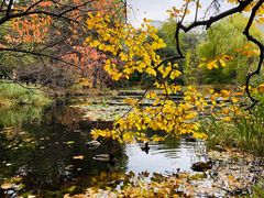 -北海道厅旧本厅舍(旧本庁舎)