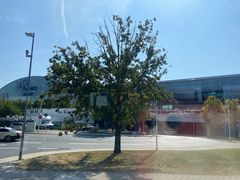 -法兰克福机场免税店(2号航站楼店)