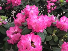 -名花谷生态庄园