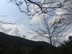 -呀诺达热带雨林