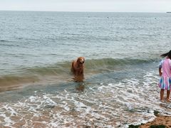 -仙浴湾广场