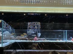 -红辣椒·川菜·火锅(张杨路店)