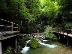 -牛背梁国家森林公园