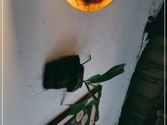 -春风十里咖啡馆