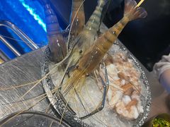 -琥珀川糟粕醋火锅(慈云寺店)
