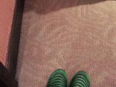 -彩蝶谷美食廊·粤式经典南番顺·铁板烧烤泰风味(广州长隆酒店)