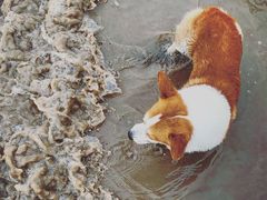 -南汇新城海滩