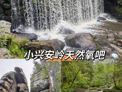-汤旺河林海奇石景区