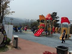 -铁山坪森林公园