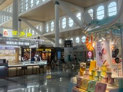 -厦门高崎国际机场-T3航站楼