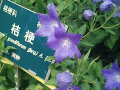 -黑龙江省森林植物园