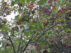 -北京宽沟会议中心