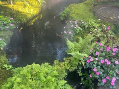 -Chom Cafe and Restaurant