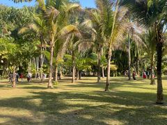 -中国科学院西双版纳热带植物园