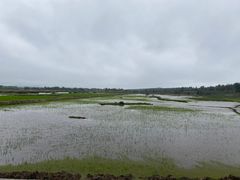 -沙美村