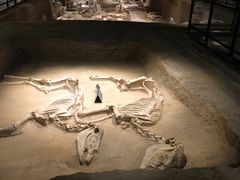 -洛阳周王城天子驾六博物馆