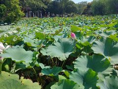 -虞山城墙