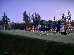 -爪吧宠物乐园 (温榆河示范区店)