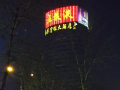 -良友富临大酒店(泉城广场大明湖店)