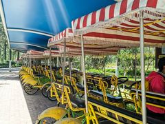 -合肥滨湖国家森林公园