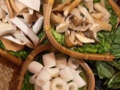 -滇野云南野生菌餐厅(陕西南路店)