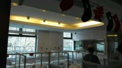 -知爱母婴专护全套房月子会所(新华路店)