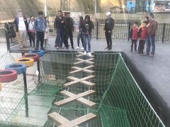 -梦幻奥陶纪景区