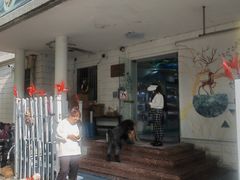 -翊宠yipet猫狗购宠庄园犬舍•猫舍