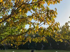 -春晖园度假酒店温泉