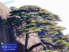 -黄山风景区