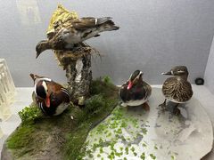 -长江文明馆