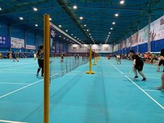 -锡才大羽羽毛球馆(深港花卉店)