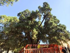 -四门塔风景区