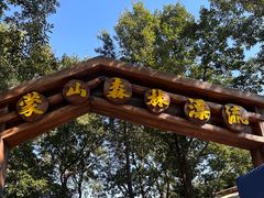 -沂蒙山旅游区云蒙景区(蒙山国家森林公园)