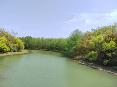 -上海海湾国家森林公园