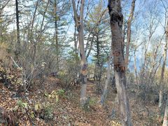 -白草畔自然风景区