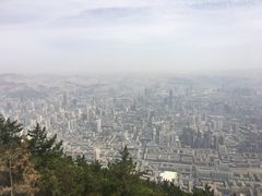 -兰山公园