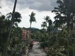 -东芭乐园