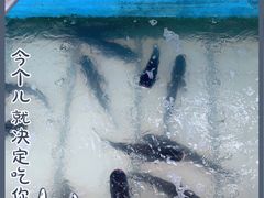 -姥家大锅台水库渔家