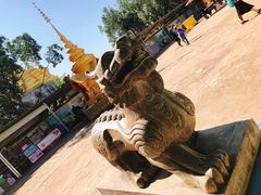 -西双版纳勐泐文化旅游区