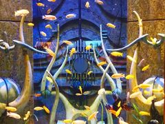 -迪拜帆船酒店海底餐厅