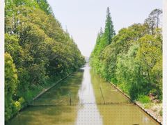 -上海长兴岛郊野公园