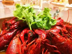 -苏州观园琉苏酒店-168西餐厅