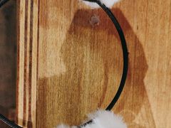 -蜀大侠火锅(春熙路店)