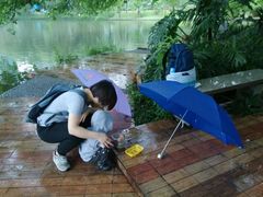 android_upload_pic-晓港公园