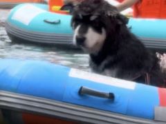 -安吉龙王山峡谷漂流