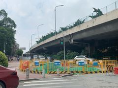 -火炉山森林公园