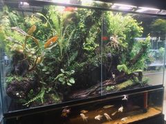 -Rabbit Cafe私房西餐甜点咖啡(栖霞路店)