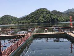 -桃花姐假日酒店·桃花潭土菜馆