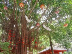 -龙门水都景区